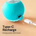 New Smart Cat Recharge Play Ball