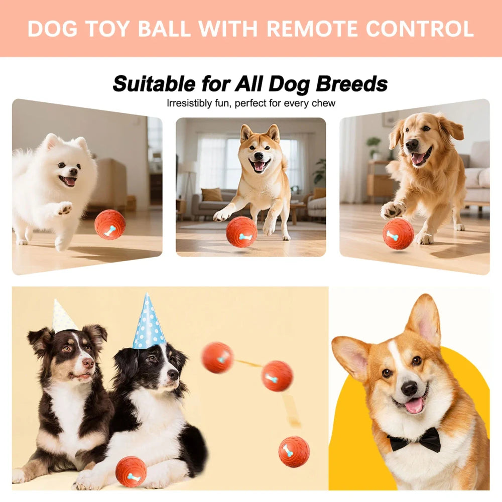 New Smart Pet Recharge Play Ball